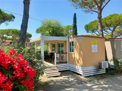 Camping Ville Degli Ulivi - old