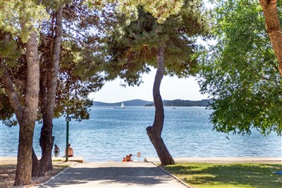 Beach Camping Imperial