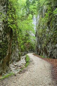 Tajemná Transylvánie po stopách hraběte Drákuly