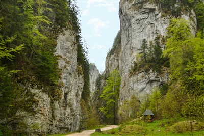 Tajemná Transylvánie po stopách hraběte Drákuly