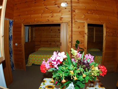 Chatka Orchidea/Chatka Orchidea Cool