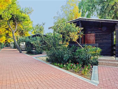 Chatka Orchidea/Chatka Orchidea Cool