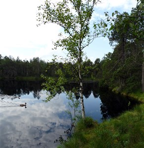 Jeseníky – Zlaté Hory: po stopách zlatokopů a za tajemstvím středověkých štol a čarodějnických procesů