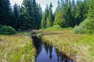 Jeseníky – Zlaté Hory: po stopách zlatokopů a za tajemstvím středověkých štol a čarodějnických procesů