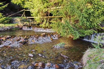 Jeseníky – Zlaté Hory: po stopách zlatokopů a za tajemstvím středověkých štol a čarodějnických procesů