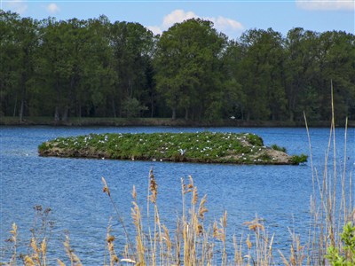 Jižní Čechy – Třeboňsko a Česká Kanada