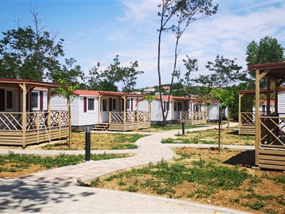 Ostrov Rab - aktuální fotografie