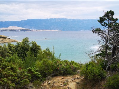 Ostrov Rab - aktuální fotografie