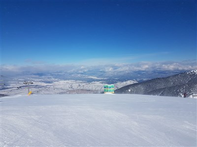 Belvedere Holiday Club