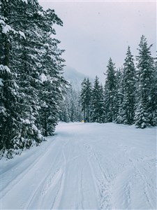 Belvedere Holiday Club