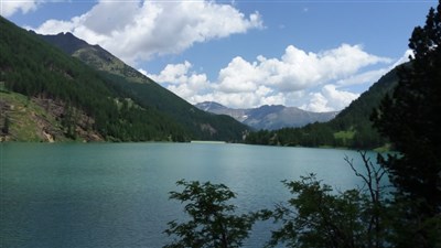 Trentino - Val di Sole