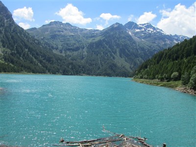 Trentino - Val di Sole