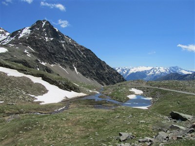 Trentino - Val di Sole
