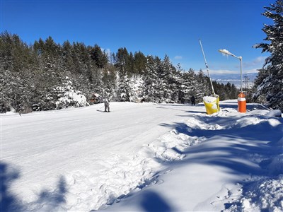 Bulharsko - aktuální video a fotografie