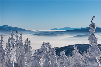 Mountain Resort Szczyrk