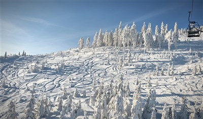 Ski areál Czarna Góra