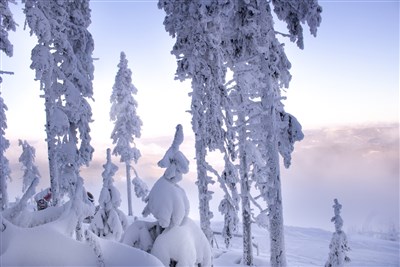 Ski areál Czarna Góra