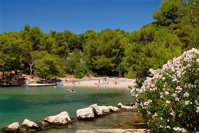 All Inclusive Light Arkada Hotel