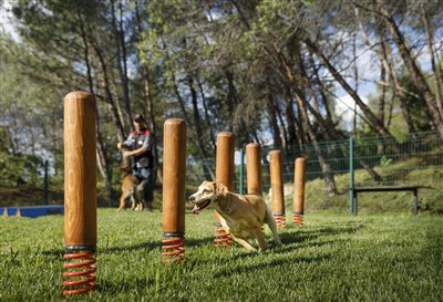 Velikonoce na Istrii v resortu Lanterna