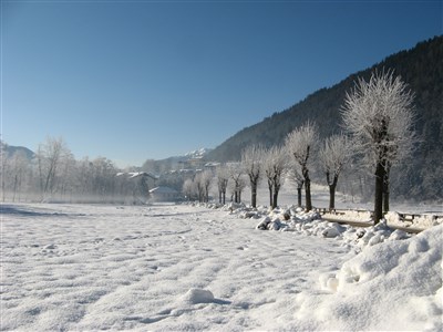 Madonna di Campiglio/Marilleva/Folgarida – Hotel Rio