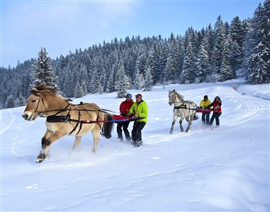 Avoriaz/Les Portes du Soleil – Le Téléphérique