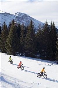Avoriaz/Les Portes du Soleil – Le Téléphérique