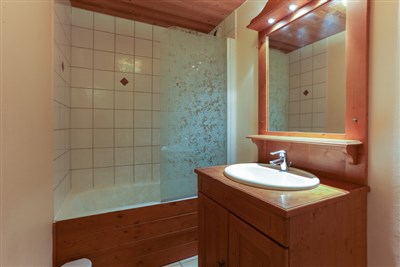 Les 2 Alpes – Cote Brune, Meijotel, Plein Sud, Vallée Blanche nebo jiné - rezidence Plein Sud - typové foto