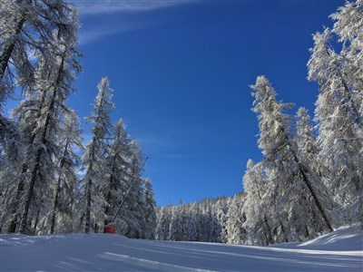 Val d’Allos/Pra Loup – Les Chalets du Verdon