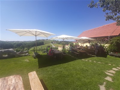 Julské Alpy a Jadran