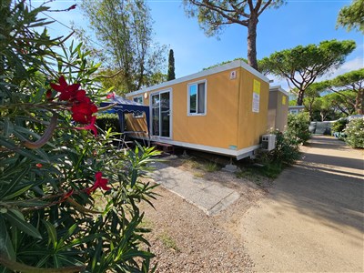 Napoleonův ostrov Elba a Florencie