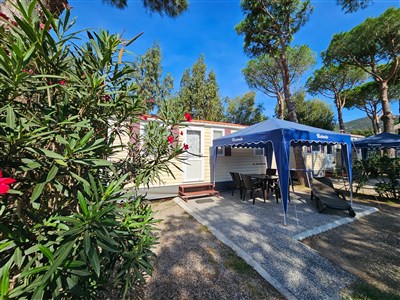 Napoleonův ostrov Elba a Florencie