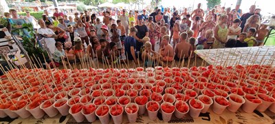 Camping Cisano & San Vito