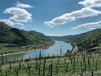 Údolí Wachau z Kremsu do Melku