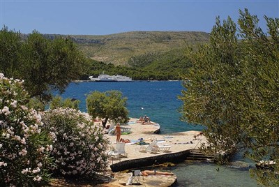 Trim Sunny Apartmens