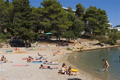 Trim Sunny Apartmens