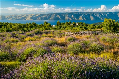 All Inclusive hotel Hvar