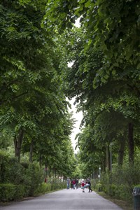 Centro Vacanze San Francesco