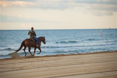 Camping Village Cavallino