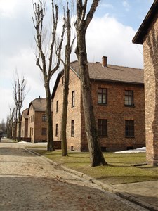 Krakow, Wieliczka a Osvětim