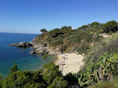 Napoleonův ostrov Elba a renesanční klenoty Toskánska