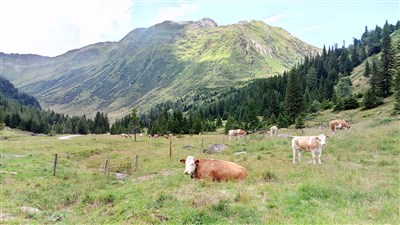 Murská cyklostezka – Alpy pro pohodáře a bikery