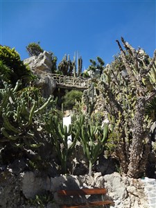 Azurové pobřeží a kaňon Verdon