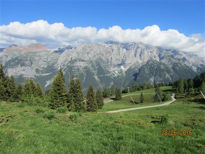 Trentino - Val di Sole