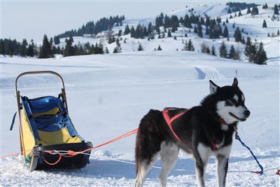Folgaria/Lavarone - Hotel Al Lago